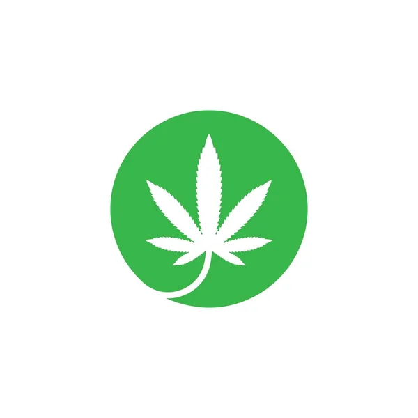 大麻叶矢量图标图解设计模板 — 图库矢量图片