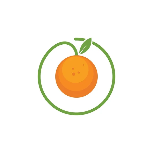 Векторный Шаблон Логотипа Оранжевых Фруктов — стоковый вектор