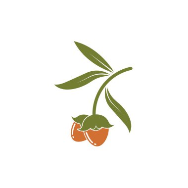 jojoba fındık vektör çizim şablonu