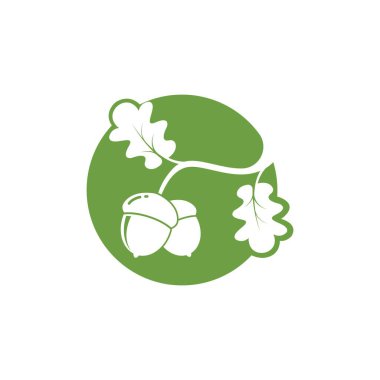 meşe palamudu vektör çizim şablonu