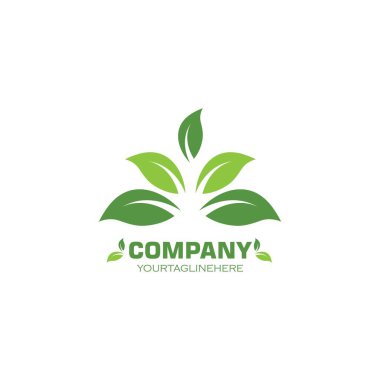 Yeşil yaprak ekolojisi yeşil tasarım doğa element vektör simgesi