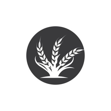Tarım buğday vektörü resimleme şablonu