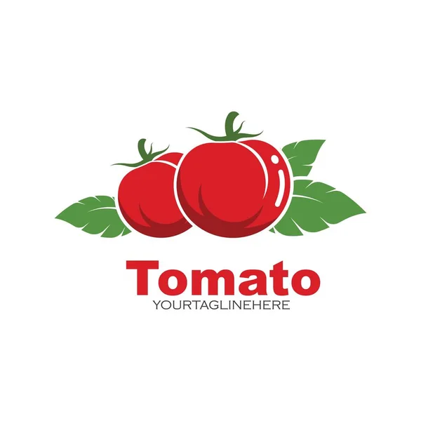 Frische Tomaten Vektor Illustration Design Vorlage — Stockvektor