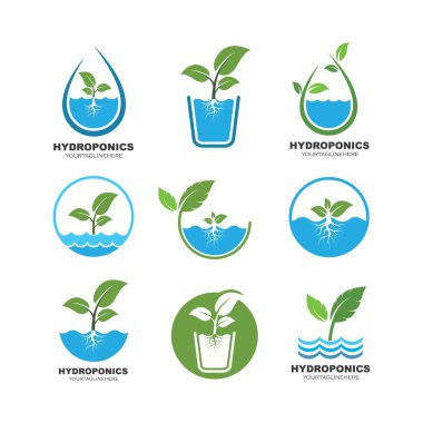 Hidroponik logo vektör çizim şablonu