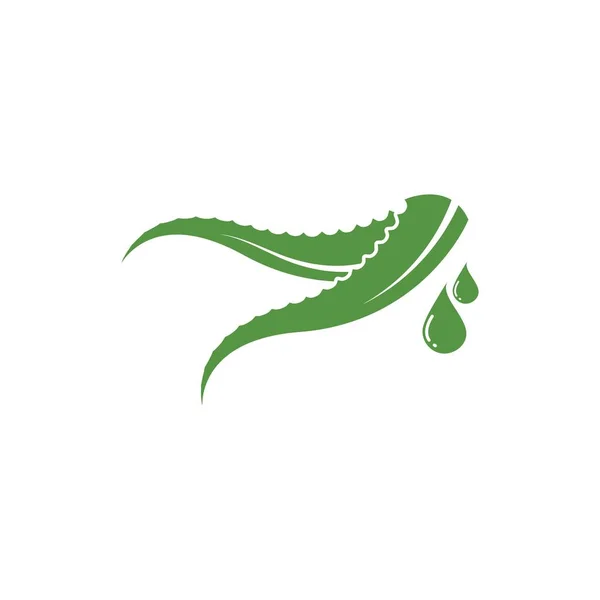 Aloevera Logo Icône Vectoriel Illustration Modèle Conception — Image vectorielle