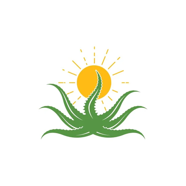 Aloevera Com Logotipo Sol Ícone Vetor Ilustração Modelo Design — Vetor de Stock