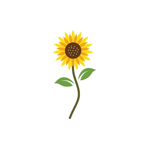 Піктограма Логотипу Соняшнику Векторні Ілюстрації — стоковий вектор