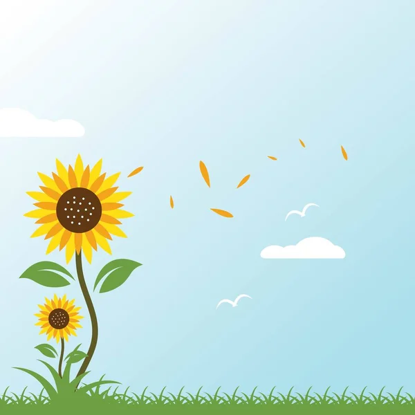 Sonnenblumen Hintergrund Vektor Illustration Design — Stockvektor