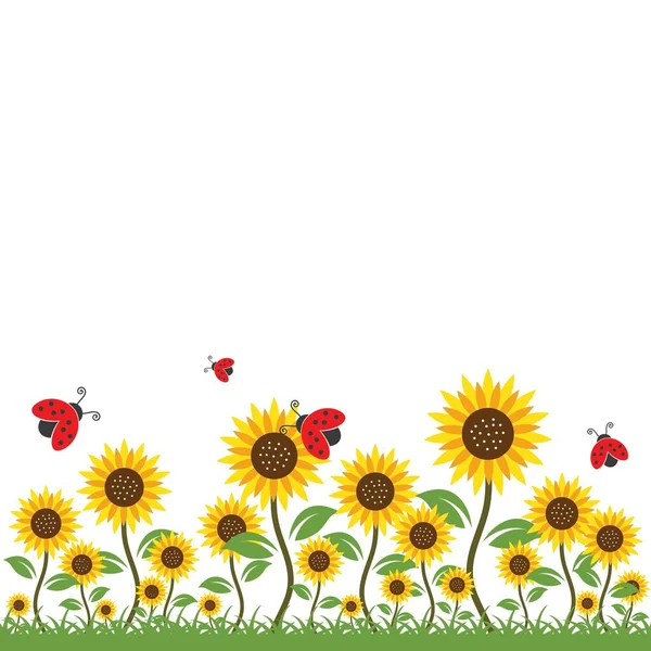 Sonnenblumen Hintergrund Vektor Illustration Design — Stockvektor