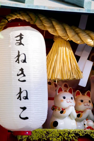 Група Керамічних Японських Щасливчиків Кабінеті Дисплея Підзаголовок Lucky Cat Jin — стокове фото