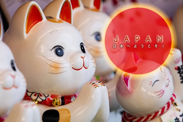 Gato Sortudo Japonês Fez Cartão Boas Vindas Com Japonês Japão — Fotografia de Stock