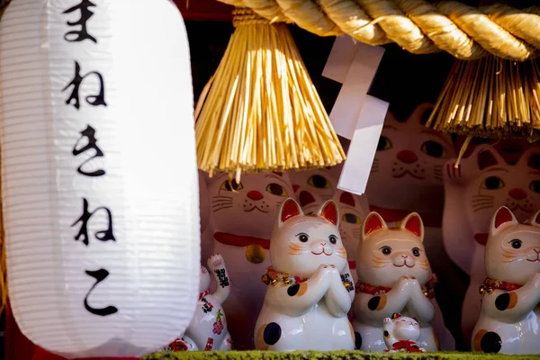 Grupo Gatos Sorte Japoneses Cerâmicos Armário Exibição Subtítulo Lucky Cat — Fotografia de Stock