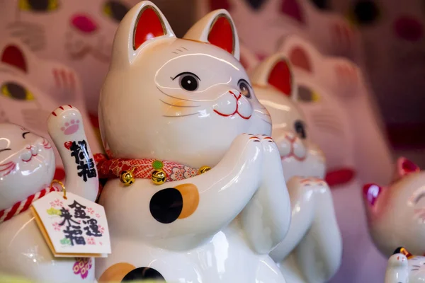 Skupina Keramických Japonských Šťastných Koček Vitríně Podtitul Lucky Cat Jin — Stock fotografie