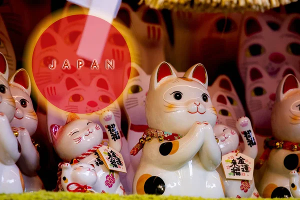 ディスプレイキャビネット内の陶製ラッキー猫のグループ ラッキー猫 ジンゆんLaidu — ストック写真