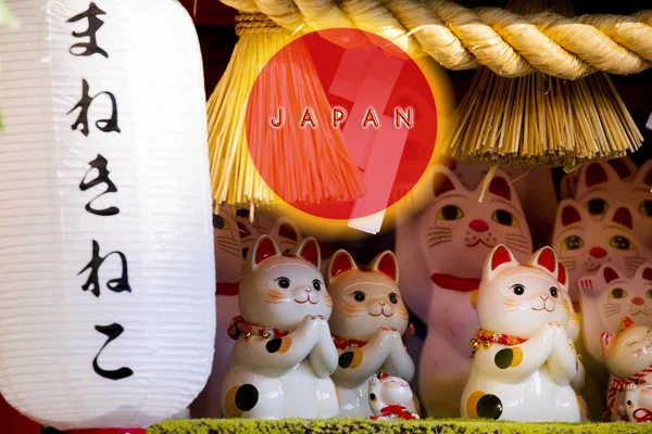ディスプレイキャビネット内の陶製ラッキー猫のグループ ラッキー猫 ジンゆんLaidu — ストック写真
