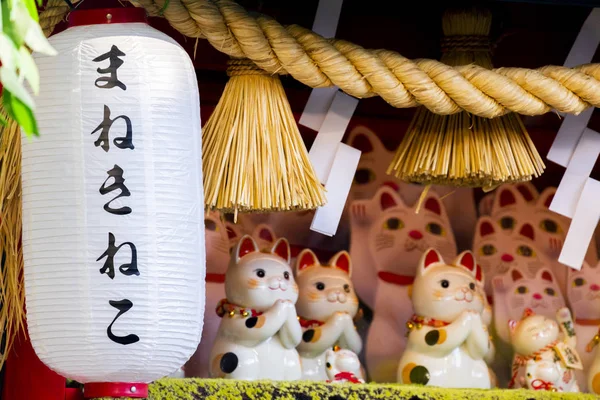 Grupo Gatos Sorte Japoneses Cerâmicos Armário Exibição Subtítulo Lucky Cat — Fotografia de Stock