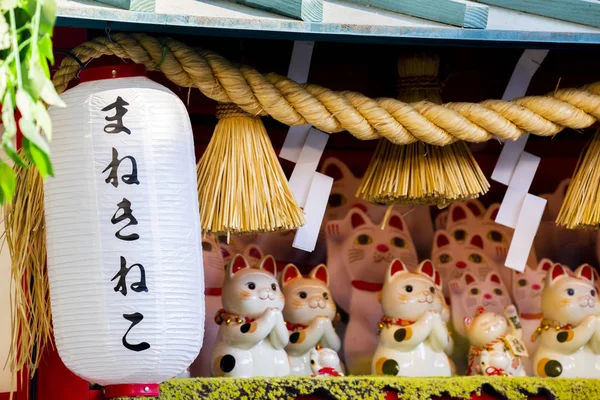 Skupina Keramických Japonských Šťastných Koček Vitríně Podtitul Lucky Cat Jin — Stock fotografie