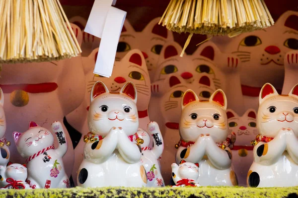 Grupo Gatos Sorte Japoneses Cerâmicos Armário Exibição Subtítulo Lucky Cat — Fotografia de Stock