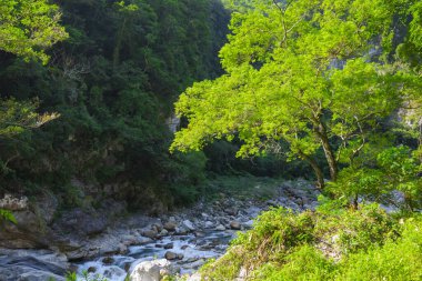 Shakabang Nehrinin Vadisi, Taroko Sahne Alanı, Hualien, Tayvan