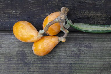 Loquat meyvesi, adını bir lavtaya benzeyen şeklinden alır.
