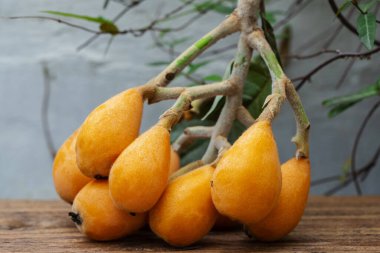 Loquat meyvesi, adını bir lavtaya benzeyen şeklinden alır.