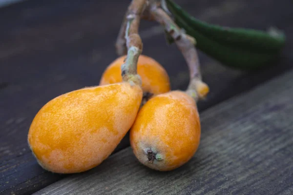 Fruto Loquat Llamado Así Por Forma Parecida Instrumento Laúd —  Fotos de Stock