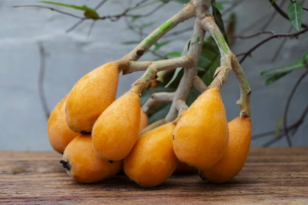 Fruto Loquat Llamado Así Por Forma Parecida Instrumento Laúd —  Fotos de Stock