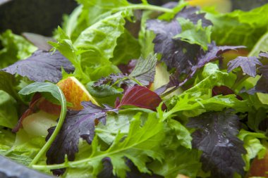 Vejetaryen favori, kıtasal kahvaltı salatası ve çeşitli sebzeler.