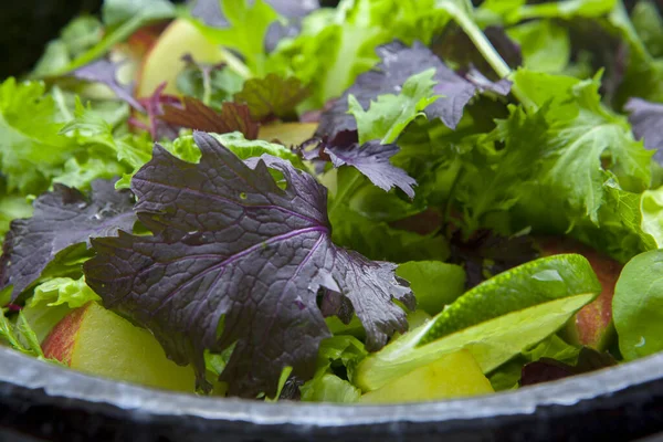 Salade Laitue Petit Déjeuner Continental Préférée Des Végétariens Avec Divers — Photo