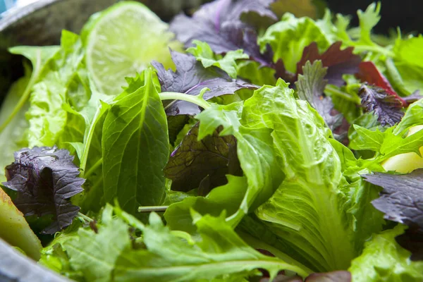 素食最受欢迎的 欧洲大陆的生菜沙拉 蔬菜种类繁多 — 图库照片