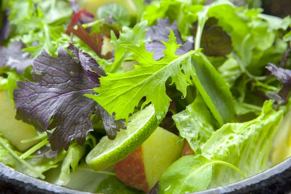 Vegetarian Favorite Continental Breakfast Lettuce Salad Diverse Vegetables — Stock Photo, Image