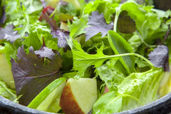 Vegetariano Favorito Salada Alface Pequeno Almoço Continental Com Legumes Diversos — Fotografia de Stock