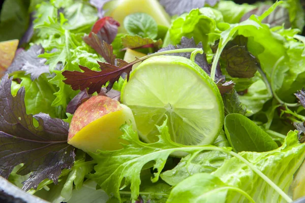 Vegetarischer Favorit Kontinentaler Frühstückssalat Mit Verschiedenem Gemüse — Stockfoto