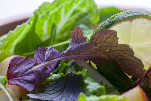 Vegetarian Favorite Continental Breakfast Lettuce Salad Diverse Vegetables — Stock Photo, Image