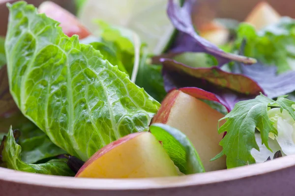 Vegetarian Favorite Continental Breakfast Lettuce Salad Diverse Vegetables — Stock Photo, Image