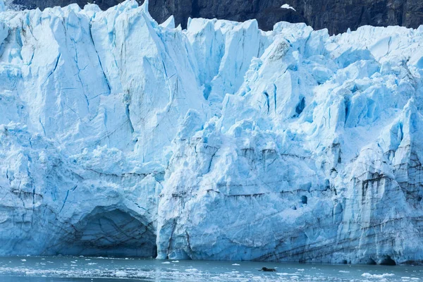 Glacier Bay National Park Alaska Usa World Natural Heritage — стокове фото