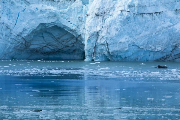 Glacier Bay National Park Alaska Usa World Natural Heritage — стокове фото