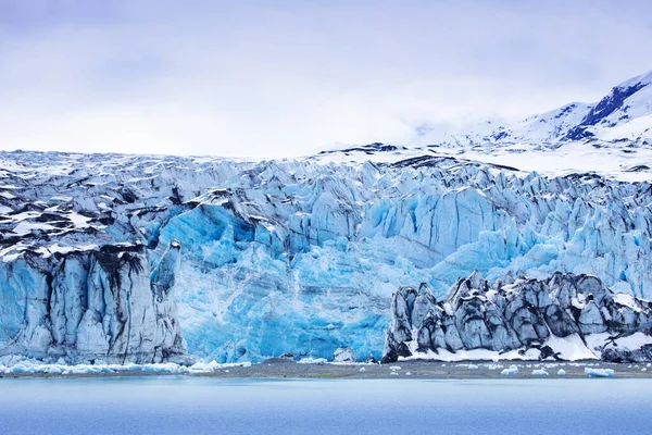 Buzul Körfezi Ulusal Parkı Alaska Abd Dünya Doğal Mirası — Stok fotoğraf