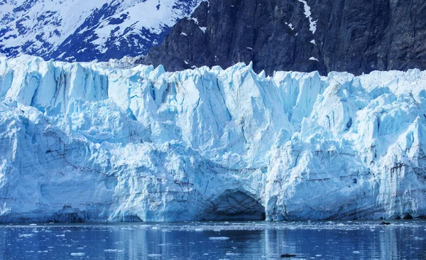 Glacier Bay National Park Alaska Usa World Natural Heritage — стокове фото