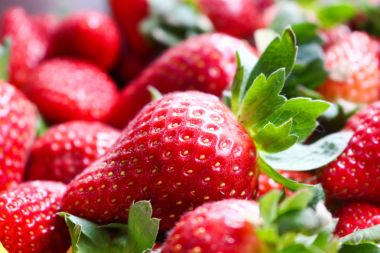 çiftlik taze çilek