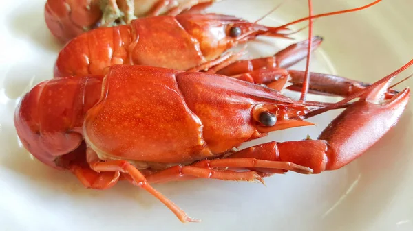 Cangrejos cocidos en plato —  Fotos de Stock