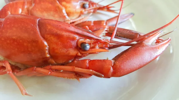 Cangrejos cocidos en plato —  Fotos de Stock