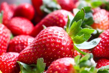 çiftlik taze çilek