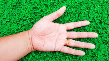 yeşil renk çim zemin, desmodium trifl üzerine el ile rahatlayın