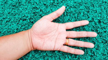 Deniz mavisi renkli çimen arka planı, desmodium triflo yandan rahatlayın