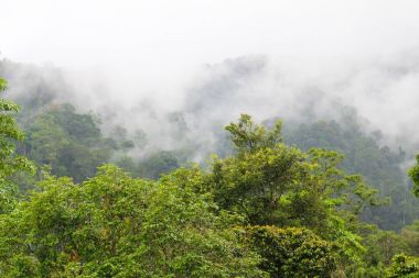 Genting Skyway Malezya görünümünü