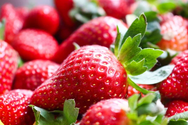 çiftlik taze çilek