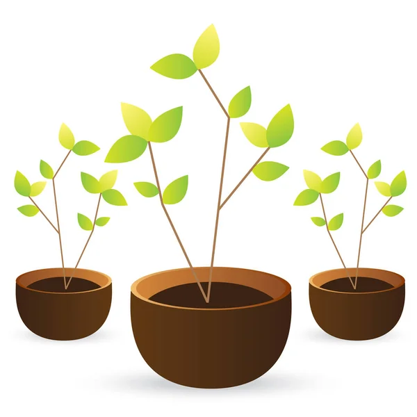 Cultivar hojas verdes sobre fondo blanco — Vector de stock