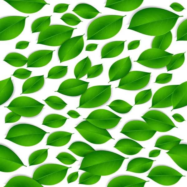 Realistic green leaves isolated texture seamless pattern on whit — Stock Vector