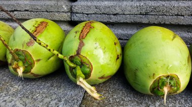 besin, sağlık yararları, diyet FIB genç yeşil Hindistan cevizi